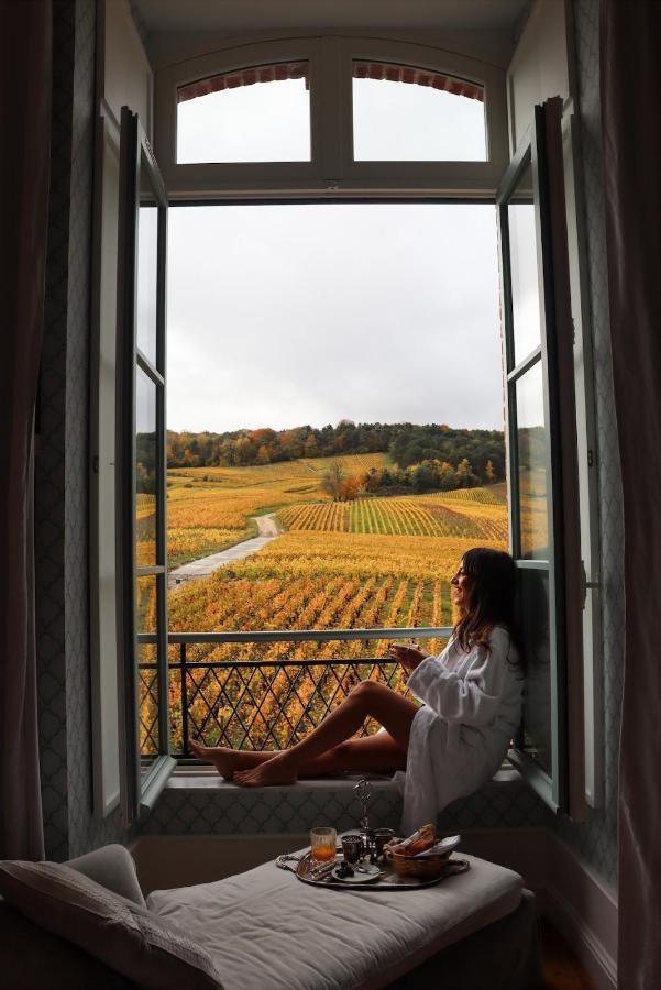 Chateau De Sacy Eksteriør billede