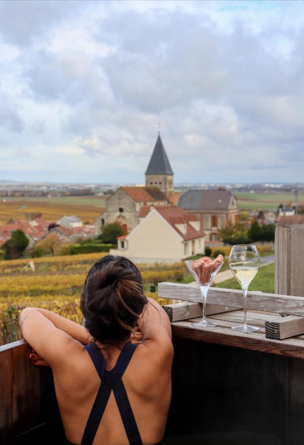 Chateau De Sacy Eksteriør billede